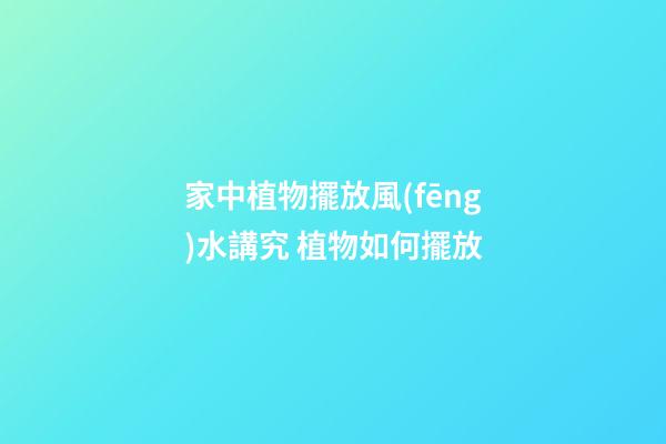 家中植物擺放風(fēng)水講究 植物如何擺放